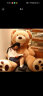 爱尚熊毛绒玩具抱枕娃娃公仔泰迪熊猫女孩布娃娃玩偶抱抱熊生日礼物女 实拍图