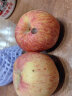 洛川苹果陕西延安红富士时令苹果水果礼盒装糖心苹果生鲜脆甜整箱好吃新鲜 10斤铂金果80-85mm（净重8.5斤） 实拍图