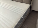 芝华仕（CHEERS）独立弹簧软硬两用席梦思床垫D026 代棕款 1.8米 晒单实拍图