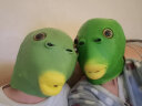 克罗米绿头鱼网红鱼头套绿头怪年会绿鱼头套搞怪万圣节面具COS表演道具 绿头怪面具+墨镜 实拍图