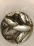 海迪飞磕大力马防缠绕鱼钩绑好子线双钩成品套装不打卷鲫鲤鱼仕挂线组 50cm 伊势尼钩3/4#+线0.4/0.6# 实拍图