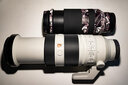 索尼（SONY） 全画幅远摄长焦风光/打鸟超远摄镜头 FE70-300mmF4.5-5.6G OSS 官方标配 实拍图