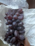 果真秀贵州茉莉香葡萄无籽红提新鲜5斤装葡萄水果脆甜孕妇整箱 1斤 尝鲜装 实拍图
