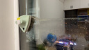 桂枫 擦玻璃神器5-35mm强磁玻璃擦窗器 防夹手双面擦窗神器双层通用 实拍图