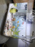 佳璐（jialu）超白浮法水草鱼缸免换水族箱懒人生态鱼缸小型水族箱超白玻璃 29.5cm长 水草超白缸 灯 过滤器（含底沙） 实拍图