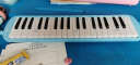 嘉德瑞口风琴初学者初中生中学生小学生专用专业演奏级吹管乐器 37键蓝帆布软包教材+两套吹管组 实拍图