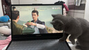 联想（Lenovo）拯救者Y7000P 游戏笔记本电脑 16英寸超能电竞本( 10核酷睿i7  16G 1T RTX4050 2.5K 165Hz屏)灰 实拍图