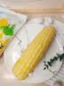 骑猴赶马漳州牛奶玉米【顺丰】生吃即食玉米新鲜采摘代餐爆浆牛奶水果玉米 【顺丰/JD】牛奶玉米 1.1斤 【2根】 【约2根】 实拍图
