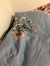 南极人（Nanjiren）被套纯棉被套单件150x200被罩单人加大斜纹小清新全棉被套单件 风的颜色 【100%纯棉面料】 180x220cm单件被套 实拍图