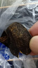 九九和仁新会陈皮 广东江门 陈皮泡茶煲汤调味干货陈皮茶 二十年老陈皮（捆扎）半斤【效果更好】 实拍图