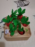高丽宝贝（Goryeo baby）拔萝卜儿童玩具拼插游戏3-6岁玩具宝宝礼物早教益智认知几何积木 七彩萝卜 实拍图