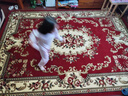 紅葉手工立体剪花欧式地毯客厅沙发茶几卧室餐厅家用商用加厚高密耐磨 1252R红色 2.4*3.3米 厚1.5cm 重36斤 实拍图