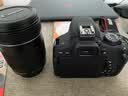 佳能/Canon 600D 700D 750D 760D 800D 850D二手单反相机新手学生入门旅游高清相机 750D+18-135 IS STM【套机】 准新 实拍图