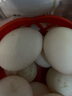 我老家 新鲜生鹅蛋 农家散养大鹅蛋 孕妇宝宝营养辅食鲜鹅蛋 12枚装 单枚100g-120g 实拍图