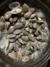 自然厨黑晶红陶瓷砂锅浅口煲仔饭干烧耐高温石锅宽口锅鱼头煲明火沙锅 【干烧升级】适合2-3人盐焗虾 1.3L 实拍图