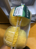 冰糖雪梨2粒600g 实拍图