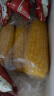 东北农嫂水果型甜玉米棒1.76kg/8穗真空包装即食火锅煲汤食材 ≤1.76KG  实拍图