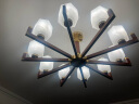 雷士（NVC）新中式吊灯海棠木国标黄铜客厅灯餐厅灯卧室灯饰NDBD10A-003 实拍图