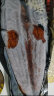 顶顶鳗蒲烧鳗鱼 整条日式烧鳗鱼 500g/袋 海鲜预制菜肴 加热即食 晒单实拍图