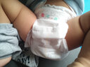 巴巴象臻芯纸尿裤一体式拉拉裤医护级新生儿男女宝宝透气干爽婴儿尿不湿 5片试用装，码数留言备注 实拍图