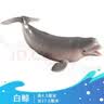 玛奇乐（MECHILE）仿真海洋生物玩具鲨鱼海豚海葵海星海马水母皮皮虾面包蟹动物模型 白鲸 实拍图