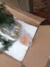 叹为观止文竹盆栽桌面小绿植办公室内盆景植物桌面观赏 文竹+原木色仿木盆（装饰随机） 实拍图