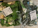 盛世泰堡 仿真玫瑰塑料花藤假花吊顶藤蔓绿植藤叶餐厅空调管道装饰 2条装 实拍图