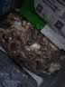 伊聚德宁夏盐池滩羊肉生鲜肚包肉新鲜熟羊杂羊毛肚羊肚整块羊肝食材清真 盐池滩羊 熟羊杂4斤 实拍图