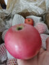 佳农 陕西洛川苹果红富士5kg 单果克重约160g-200g  水果 生鲜礼盒 晒单实拍图