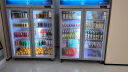 星星（XINGX）展示柜冷藏保鲜柜双开门立式冰柜饮料柜 商用冰箱风直冷超市便利店水果啤酒冷柜 618升 双风机循环制冷 LSC-618Y 晒单实拍图