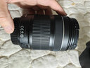 佳能（Canon）250D IS STM 佳能单反相机 迷你单反 自拍神器 250D+18-55 IS STM 套机（200D二代200DII海外版） 实拍图