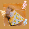 共度（Gong Du）兔兔衣服兔子印花裙子冬季牵引小宠物服装 小宠牵引绳金丝熊帽子 小号（适合豚鼠/幼兔） 晒单实拍图