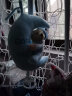 布丁果BUDINGGUO蓝色小熊月亮拉线八音盒毛绒玩具男孩女孩宝宝婴儿助眠玩具 实拍图