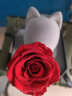 Cat&Rose永生花猫咪礼盒生日礼物送女友玫瑰花结婚礼物情人节表白家居摆件 晒单实拍图