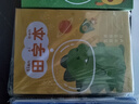 递乐 小学生用田字格本生字本一年级二汉语练习练字课时田字格本14张/本（20本装+5支铅笔）7050田字格本 实拍图
