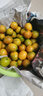 味小仙广西桂林脆皮金桔 滑皮小金桔阳朔特产黄青皮甜金橘新鲜水果 9斤（大果）【1斤25颗左右】 实拍图