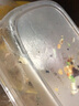 茶花（CHAHUA）保鲜盒可微波米饭水果分装收纳盒食品级材质冰箱专用冷藏保鲜盒 黄色830ml【3只】 可微波加热 实拍图