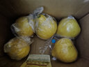 骑猴赶马正宗度尾文旦柚福建红心蜜柚应季新鲜水果礼盒过节送礼仙游文旦柚 【20斤网袋装丨单果约1.3斤】超值性价比 金奖品质度尾文旦柚 实拍图