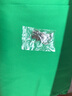 贝阳（beiyang）七仓配送】加厚直播绿幕抠像背景布带支架绿色摄影绿布+背景架拍照蓝绿布视频拍摄伸缩绿幕抠像布 绿色3*6米（加厚送无痕钉+挂钩） 实拍图