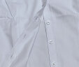 佐马仕 （ZUOMASHI）短袖衬衫女夏季纯白免烫抗皱衬衫职业装冰丝修身商务正装衬衣女 DV2655V领纯白色 XL/37（105-115斤） 实拍图