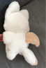 嘉百利毛绒玩具嘟嘟猫抱枕玩偶布娃娃公仔教师节生日礼物送男女朋友老师 天使嘟嘟猫【40厘米】 收藏加购 优先发货 实拍图