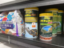 神阳三湖慈鲷鱼饲料增色增艳下沉马鲷坦鲷杂鲷非洲王子热带小型鱼粮 纯红慈鲷230g S粒 10cm以上鱼食用 晒单实拍图