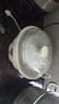 天际（TONZE）电炖锅 煲汤养生燕窝盅 煲粥蒸炖可预约定时隔水炖 奶油白 2.5升  一锅五胆（隔水炖） 2.5L 实拍图