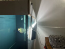 马印双模式原子光灯盘龙鱼灯专用发色灯管鱼缸灯led全光谱 马印灯盘1.4米/6700K 晒单实拍图
