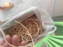 辰实【发顺丰】鱼腥草新鲜 折耳根叶子 侧耳根节节根蔬菜现挖发 3斤鱼腥草根根 实拍图