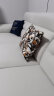 帕沙曼（pashaman）沙发 布艺沙发棉麻现代小户型客厅高靠背可置物乳胶沙发 1001PZ 3.4米 多人位[多色可选] 棉麻TY61(天然乳胶+高密海绵) 晒单实拍图