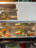 阔庭鱼缸懒人鱼缸家用客厅办公室金鱼缸过滤鱼缸白色款 晒单实拍图
