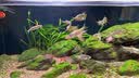 Hydlex日本圣太科加热棒鱼缸26年新款水族箱淡水海水通用变频红圈加温棒 圣太科新款红圈版加热棒600W 实拍图