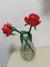 乐高（LEGO）玫瑰花40460花束拼搭女孩拼装玩具生日家居饰品生日礼物 玫瑰花+水晶花瓶 实拍图