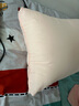 安睡宝（SOMERELLE）枕头睡眠枕护颈枕卷冲技术高弹枕芯颈椎枕家用酒店枕单人学生宿舍 高弹磨绒立体枕-低枕1只/粉黛玉 实拍图